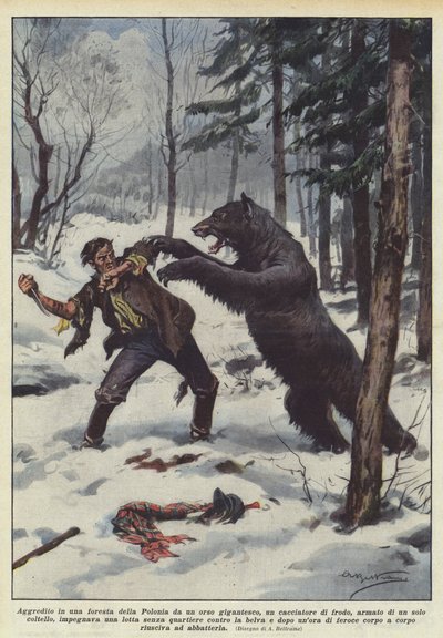 Attacked in a Polish Forest by a Gigantic Bear, a Poacher by Achille Beltrame